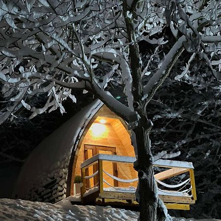 Apartament Glamping Jezero Čačak Zewnętrze zdjęcie