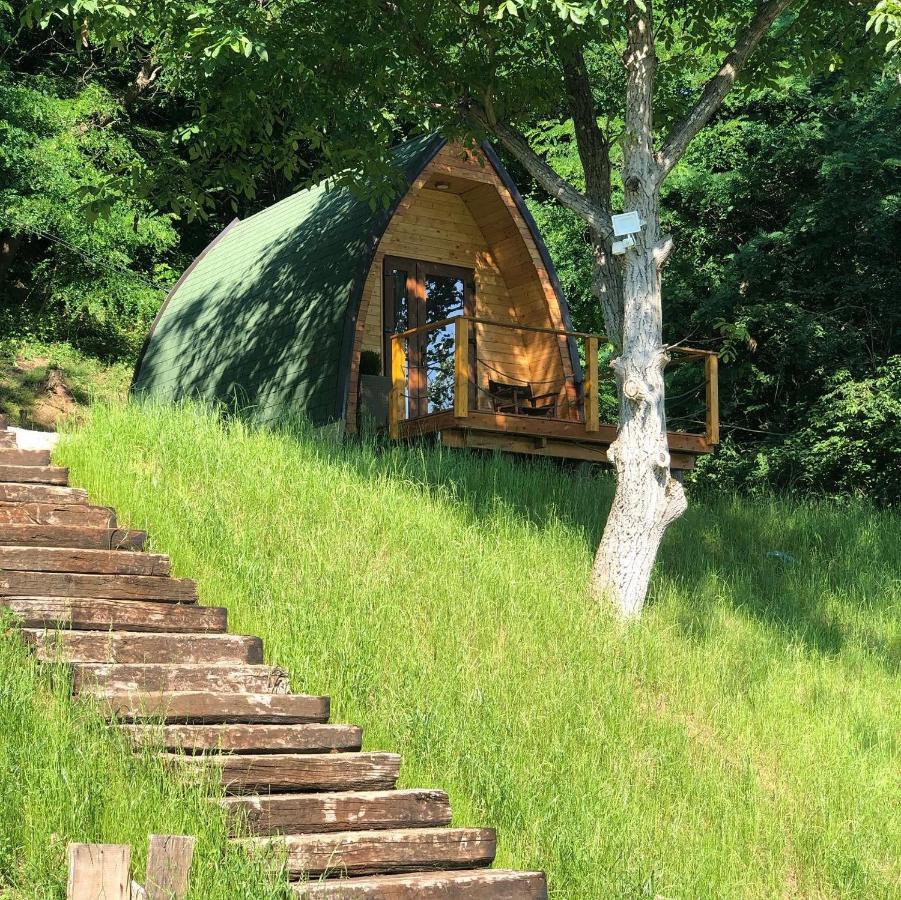 Apartament Glamping Jezero Čačak Zewnętrze zdjęcie