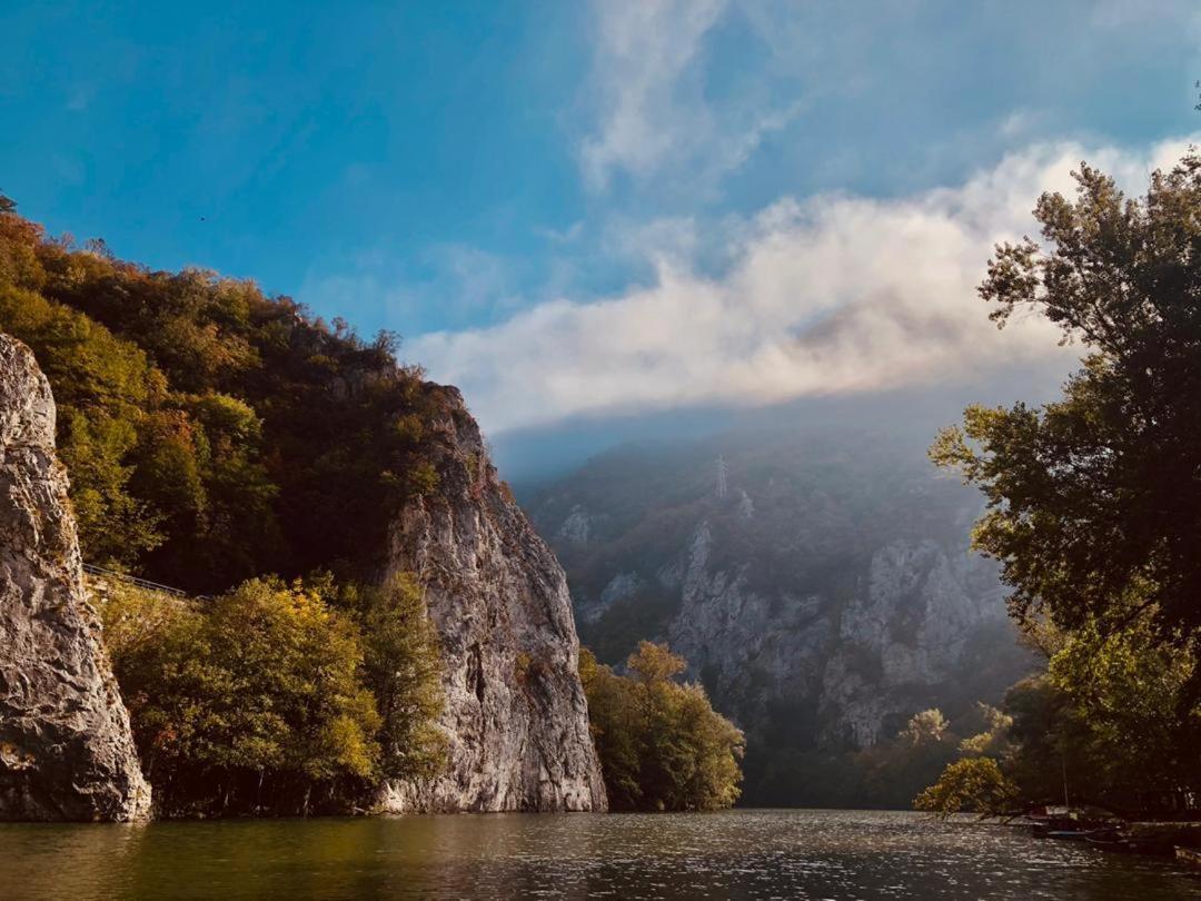 Apartament Glamping Jezero Čačak Zewnętrze zdjęcie