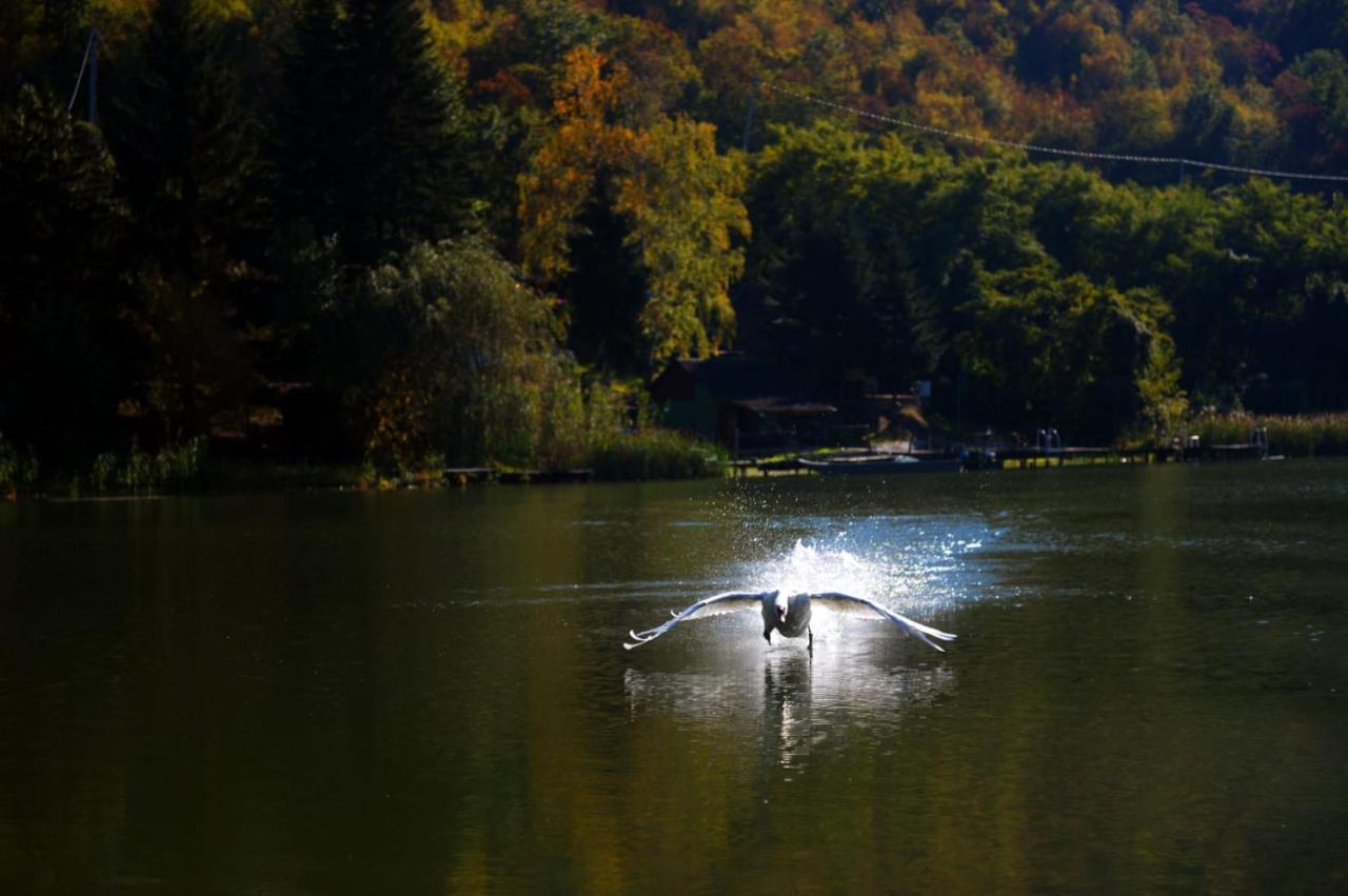 Apartament Glamping Jezero Čačak Zewnętrze zdjęcie