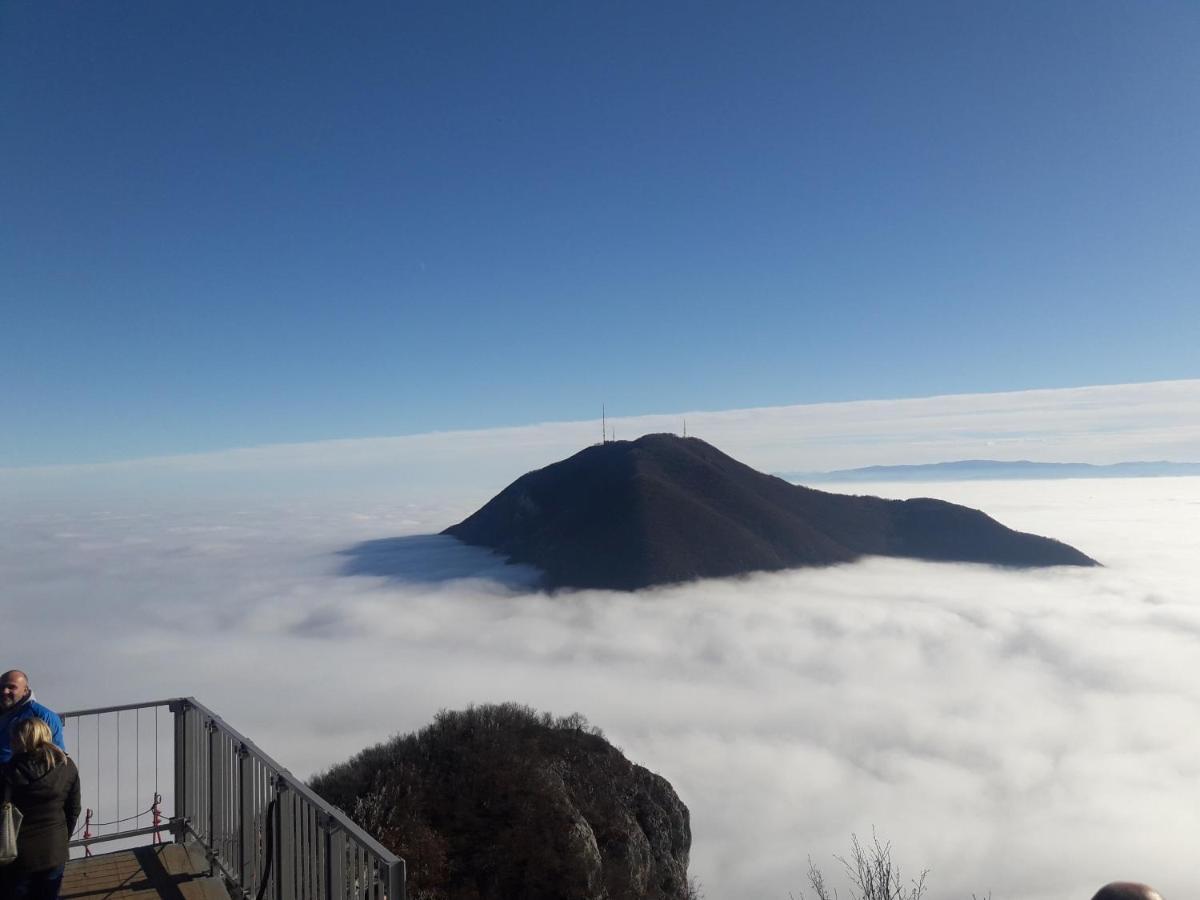 Apartament Glamping Jezero Čačak Zewnętrze zdjęcie