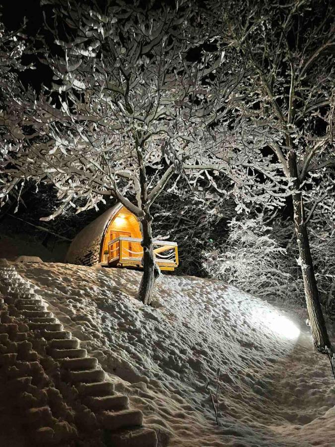 Apartament Glamping Jezero Čačak Zewnętrze zdjęcie